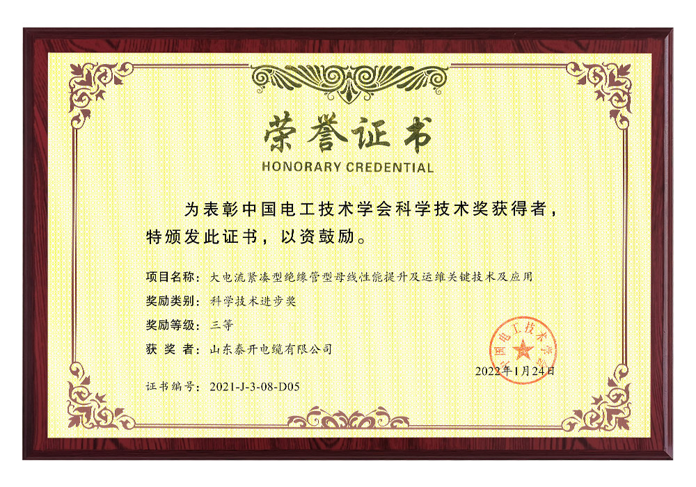 中國電工技術學會科技進步獎（大電流緊湊型絕緣管型母線性能提升及運維關鍵技術及應用）
