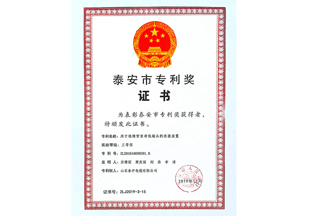 泰安市專利獎(jiǎng)（用于絕緣管型母線端頭的連接裝置）