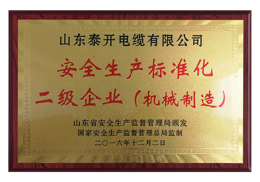山東省安全生產標準化二級企業