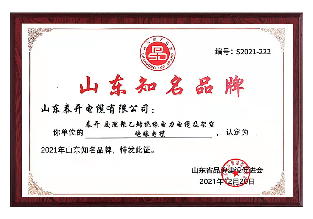 山東知名品牌(交聯聚乙烯絕緣電力電纜及架空電纜)