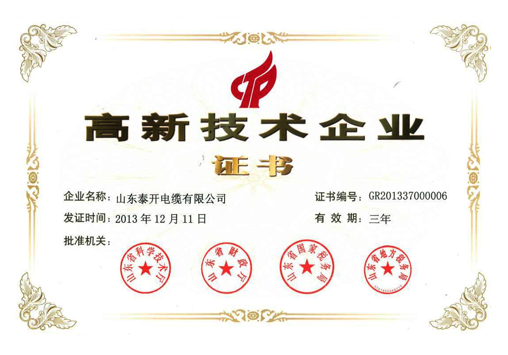 國家高新技術企業（初評）