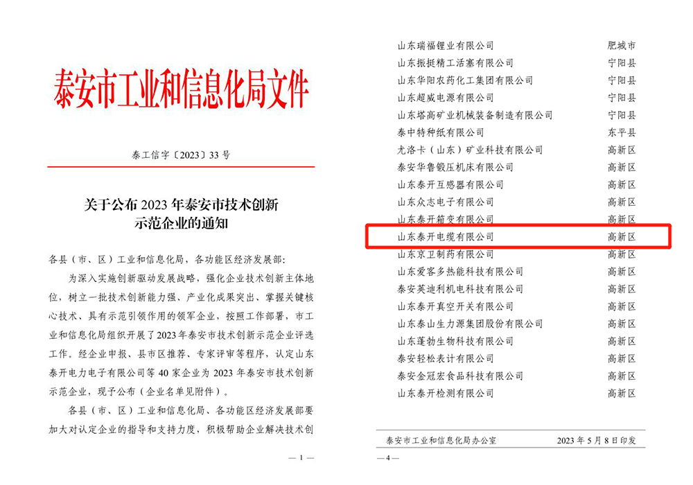 泰安市技術創新示范企業