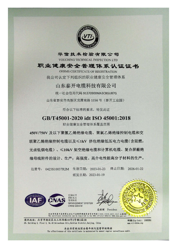 職業健康安全管理體系