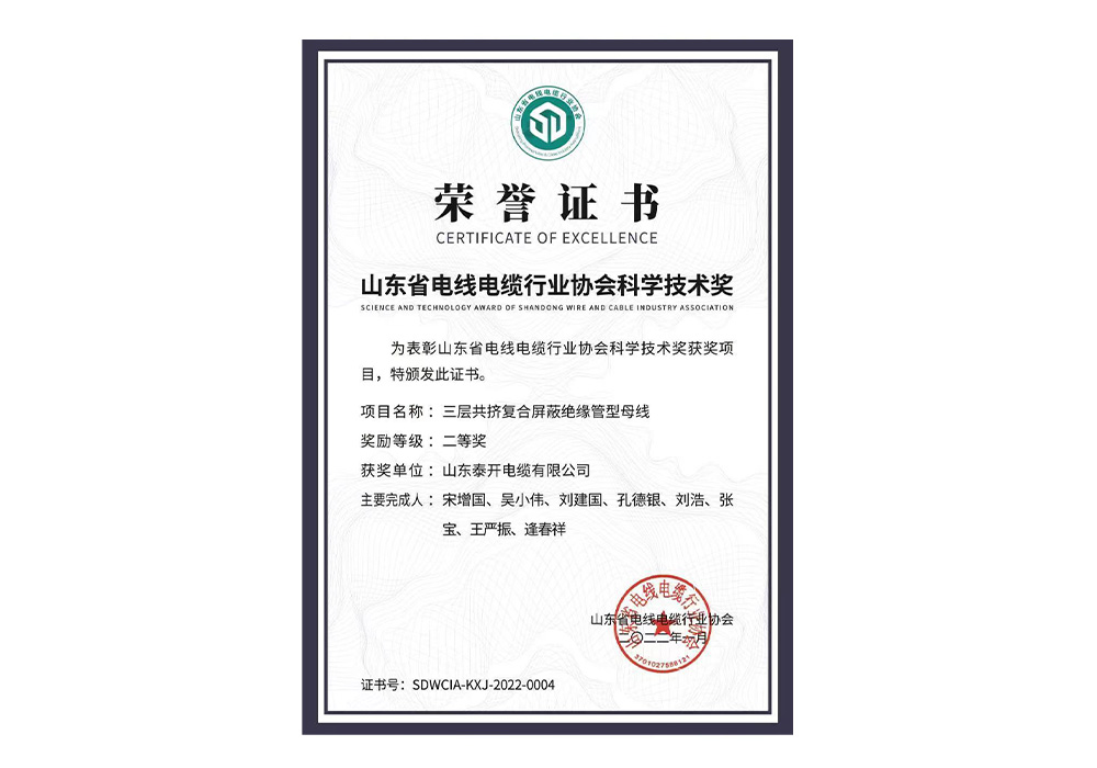 科學(xué)技術(shù)獎(jiǎng)（三層共擠復(fù)合屏蔽絕緣管型母線）