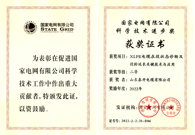 科學技術進步二等獎(XLPE電纜在役狀態(tài)診斷及役齡延長關鍵技術與應用) 科學技術進步二等獎(XLPE電纜在役狀態(tài)診斷及役齡延長關鍵技術與應用)