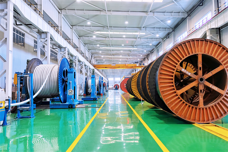 微信圖片_20241009084201 微信圖片_20241009084201